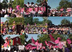 Scenes of Spanish Town Mardi Gras!