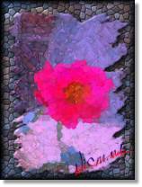 Flower For Sarah 2