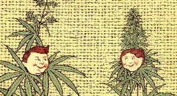 M&auml;nnliche und weibliche Hanfpflanzen
(aus: Lustige Hanffibel)