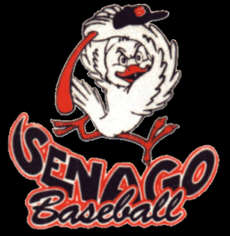 Senago Baseball