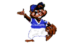 Codogno B.C.