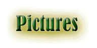 Pictures