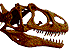 Allosaurus skull