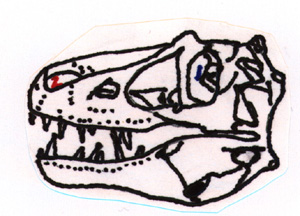 Daspletosaurus skull