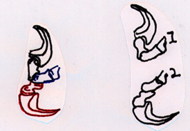 Deinonychyus claw