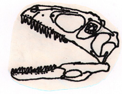 Deinonychyus skull