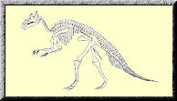 Edmontonsaurus skeleton