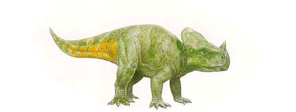 Montanoceratops