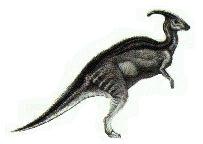 Male Parasauralophus