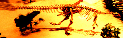 Thescelosaurus
