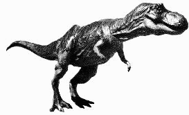 Tyrannosaurus rex