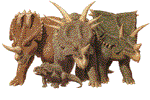 Centroceratops,Protoceratops,Styracosaurus,Chasmosaurus