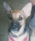 What big ears!!!