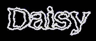 Daisy