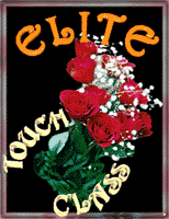 Elite Award