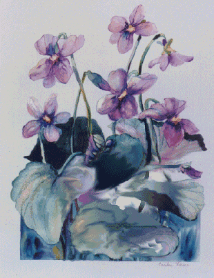 Violets...artist unknown
