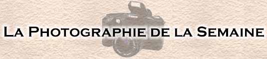 Photographie Logo