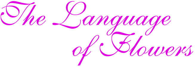 The Language of Flowers