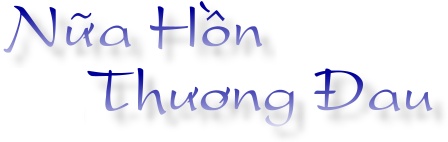 Nu+~a Ho^`n Thu+o+ng DDau