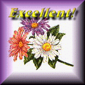 Excellence Award