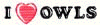 I love owls 
logo