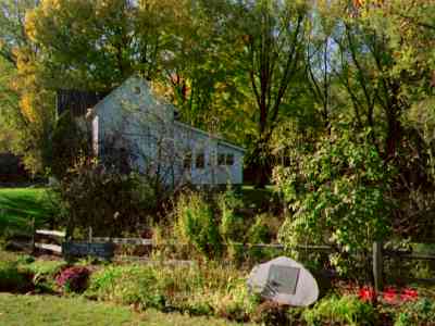 balwgarden.jpg (17816 bytes)