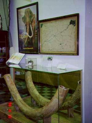 bones.jpg (15158 bytes)