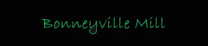 mill.jpg (3365 bytes)