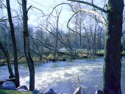 millwater.jpg (15159 bytes)