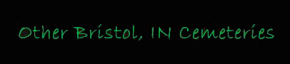 othercems.jpg (4190 bytes)