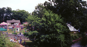 parkriver.gif (35969 bytes)
