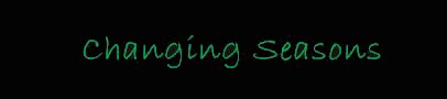 seasons.jpg (3720 bytes)
