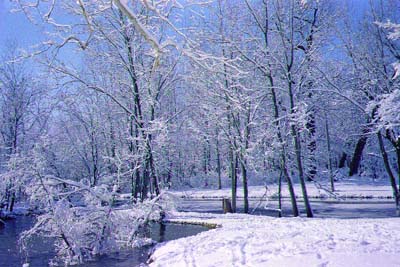 snow_mill.jpg (35841 bytes)
