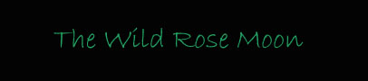 wildrose.jpg (5791 bytes)