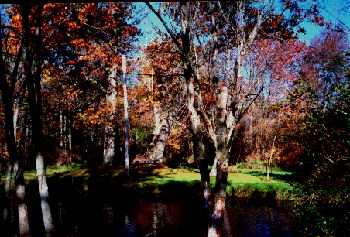 riverbank.jpg (36250 bytes)