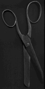 shears.jpg (5246 bytes)