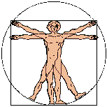 Vitruvian Man