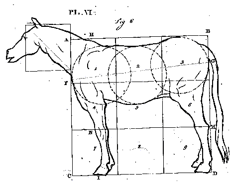 De Pas Horse