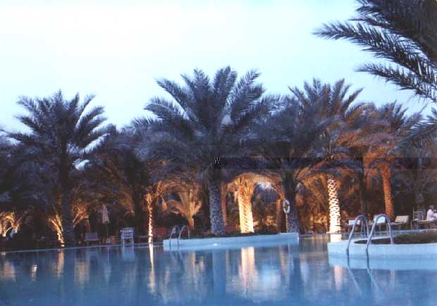 Palm Club