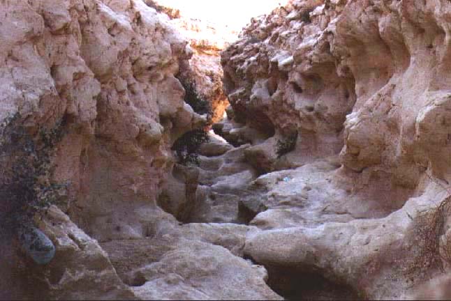 Wadi Degla
