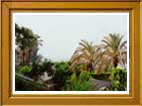 Maadi