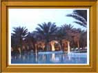 Palm Club