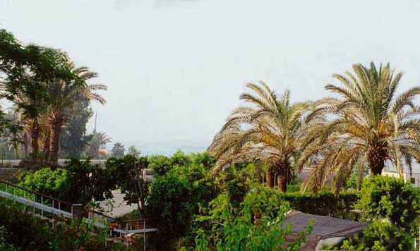 Maadi2