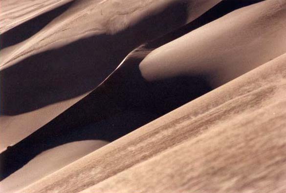 Dune