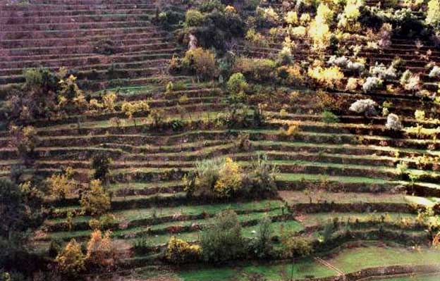 Lebanon2