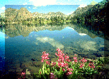 Scenery