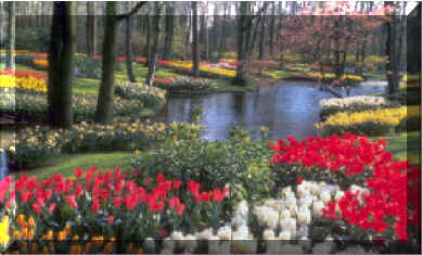 spring garden