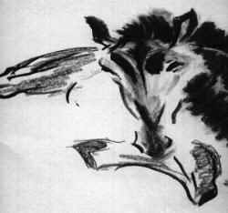 horse
