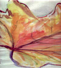 maple leaf