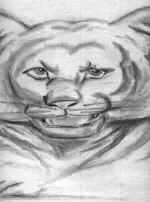tiger